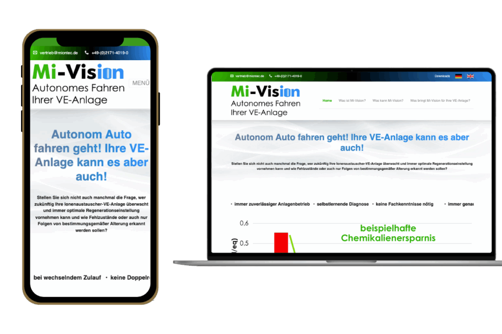 Mi Vision_Website_ (1)